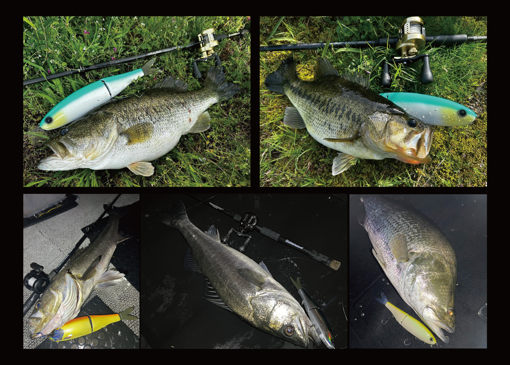 VOLTA｜ID CUSTOM BAIT｜studio COMPOSITE スタジオコンポジット